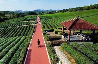 一市三省推薦！宜興上榜！休閑觀光活動引領文旅新風尚