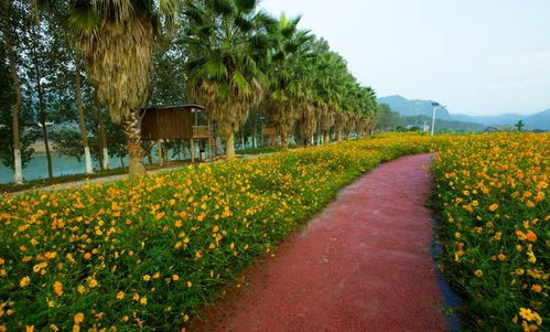 元旦出行大禮包丨人少景美不看海，山野閑趣與古韻新姿伴你跨年